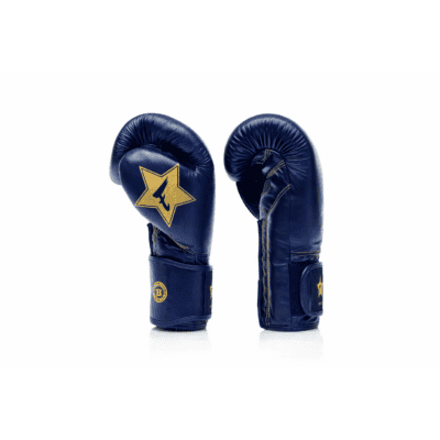 Fairtex X Booster Boxhandschuhe Navy (FXB BG V2 NAVY)