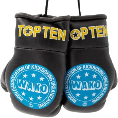 TOP TEN Point Fighting Handschuhe - WAKO - Weiß
