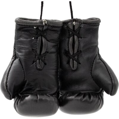 TOP TEN Point Fighting Handschuhe - WAKO - Weiß