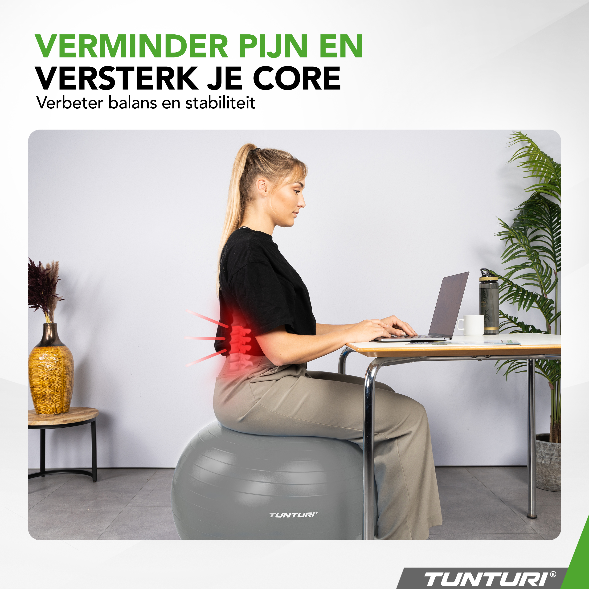 Tunturi - Gymnastikball 65 cm - Silber Tunturi - Gymnastikball 65 cm - Silber
