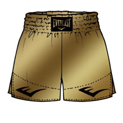 Everlast Muay-Thai-Shorts - Muay Thai Shorts - Gold Everlast Muay-Thai-Shorts - Muay Thai Shorts - Gold
