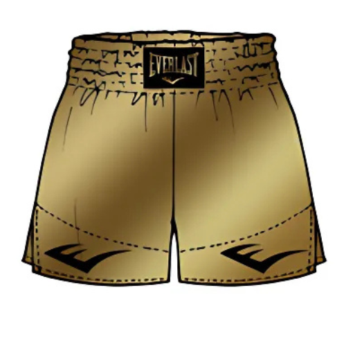 Everlast Muay-Thai-Shorts - Muay Thai Shorts - Gold Everlast Muay-Thai-Shorts - Muay Thai Shorts - Gold