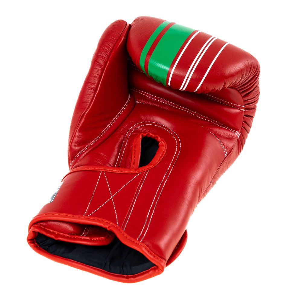 Booster V9 Boxhandschuhe Leder Schwarz (BGL V9 MAROCO) Booster V9 Boxhandschuhe Leder Schwarz (BGL V9 MAROCO)