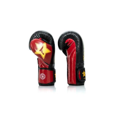 Fairtex Booster Boxhandschuhe (FXB BG V2 BK RD GD) Fairtex Booster Boxhandschuhe (FXB BG V2 BK RD GD)
