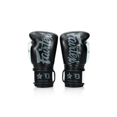 Fairtex Booster Boxhandschuhe FXB V2 (FXB BG V2 BK WH) Fairtex Booster Boxhandschuhe FXB V2 (FXB BG V2 BK WH)