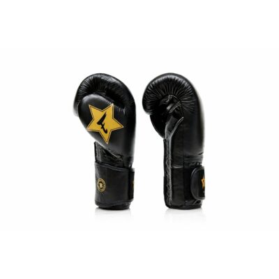 Fairtex Booster Boxhandschuhe Schwarz Gold (FXB BG V2 BLACK GOLD) Fairtex Booster Boxhandschuhe Schwarz Gold (FXB BG V2 BLACK GOLD)