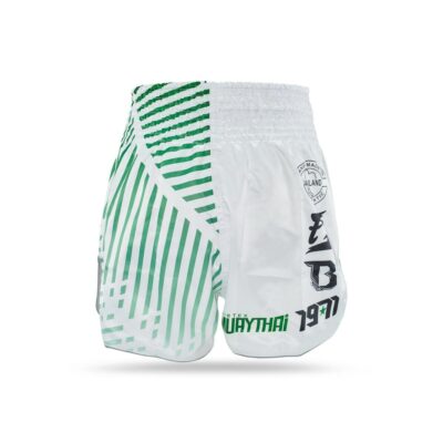 Fairtex X Booster Kickbox-Shorts Racer (FXB TBT RACER) Fairtex X Booster Kickbox-Shorts Racer (FXB TBT RACER)