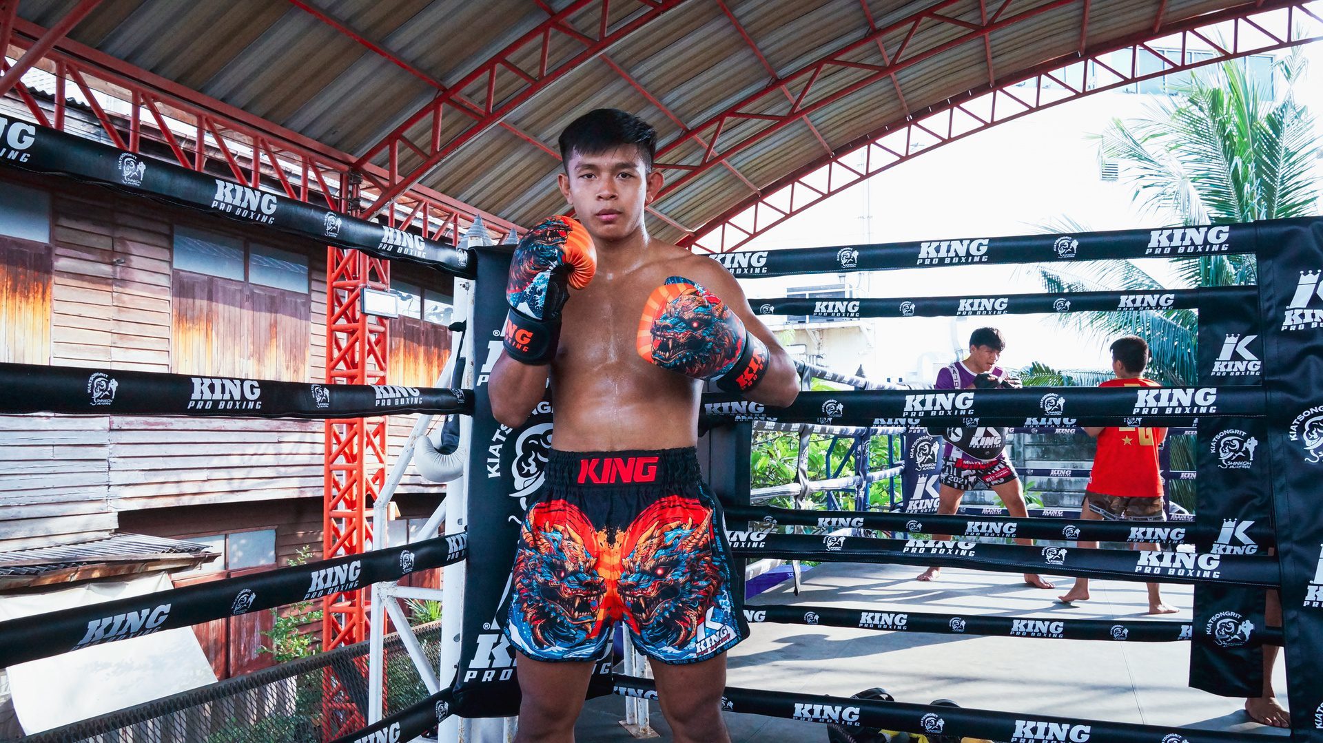 King Pro Boxing Kickbox-Shorts Dragon (KPB DRAGON) King Pro Boxing Kickbox-Shorts Dragon (KPB DRAGON)
