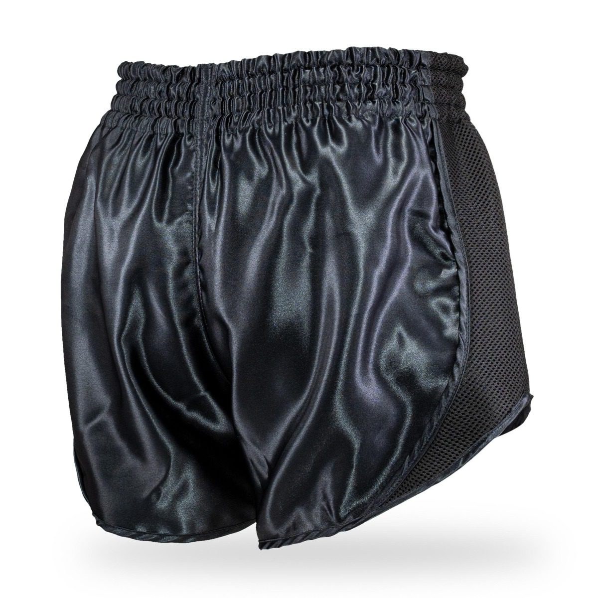 King Pro Boxing Retro Mesh Kickbox-Shorts (KPB RETRO MESH 1) King Pro Boxing Retro Mesh Kickbox-Shorts (KPB RETRO MESH 1)