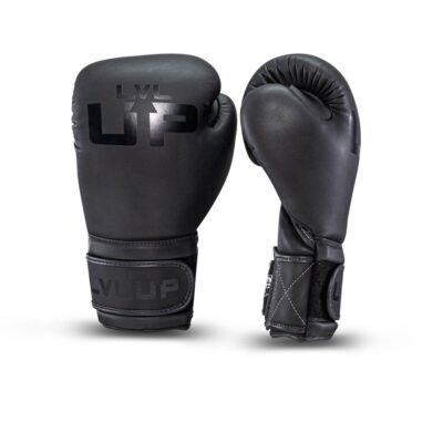 LVL-UP Boxhandschuhe Premium Leder (LVL UP BG 2)