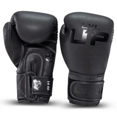 LVL-UP Boxhandschuhe Premium Leder (LVL UP BG 2)