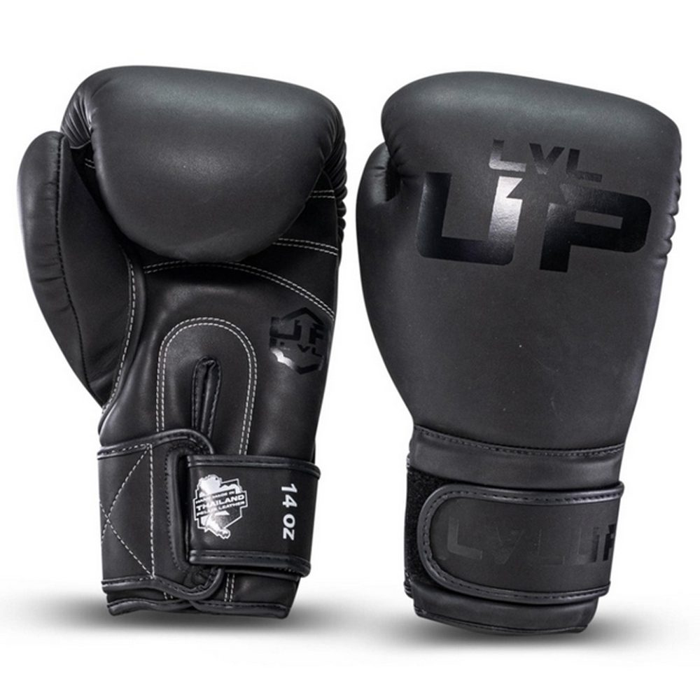 LVL-UP Boxhandschuhe Premium Leder (LVL UP BG 2)