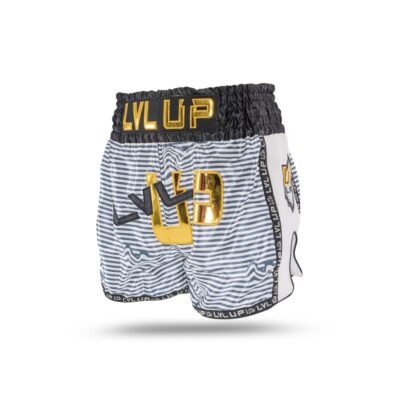 LVL-UP Flash 1 Kickbox-Shorts (LVL-UP FLASH 1)