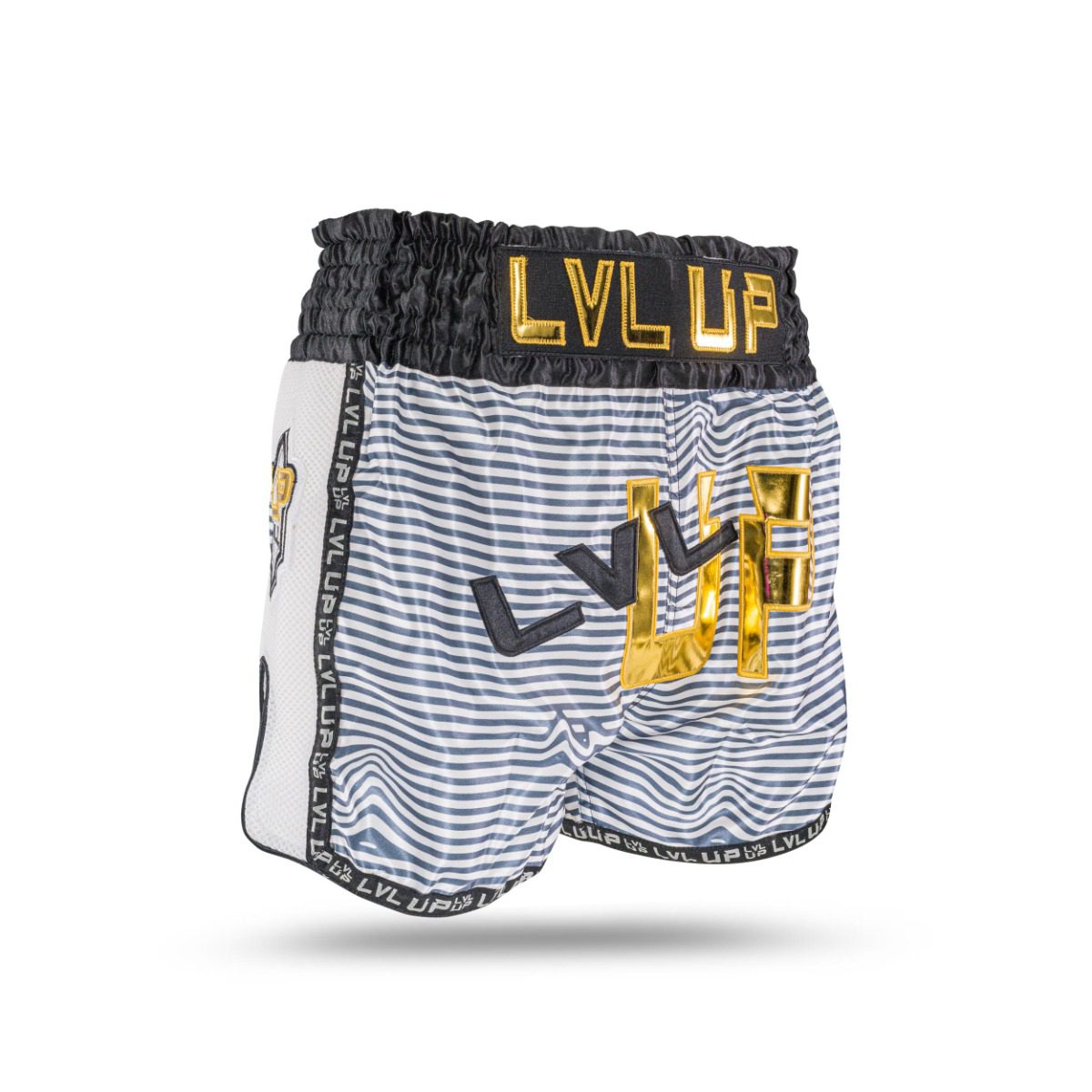 LVL-UP Flash 1 Kickbox-Shorts (LVL-UP FLASH 1) LVL-UP Flash 1 Kickbox-Shorts (LVL-UP FLASH 1)
