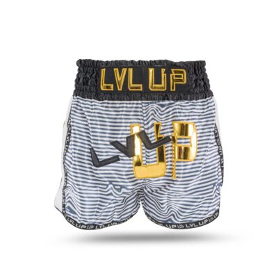 LVL-UP Flash 1 Kickbox-Shorts (LVL-UP FLASH 1)