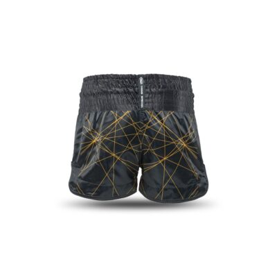 Twins Special Muay Thai-Shorts X Booster (TBT TWINS X BOOSTER 2)