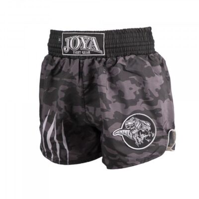 Joya Dino Muay-Thai-Shorts Silber Kinder Joya Dino Muay-Thai-Shorts Silber Kinder