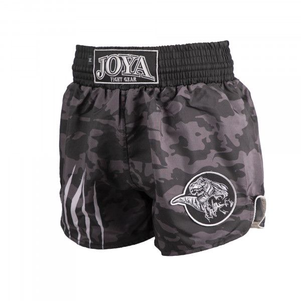 Joya Dino Muay-Thai-Shorts Silber Kinder