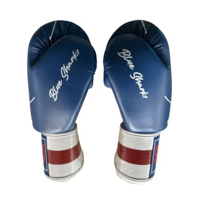 Super Pro Combat Gear Boxhandschuhe - Nations Cabo Verde - Blau / Rot / Weiß