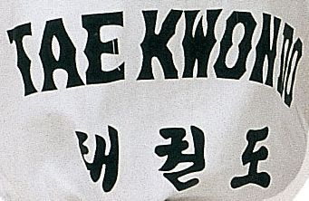 Hayashi Taekwondoanzug - Taeguk - Weiß