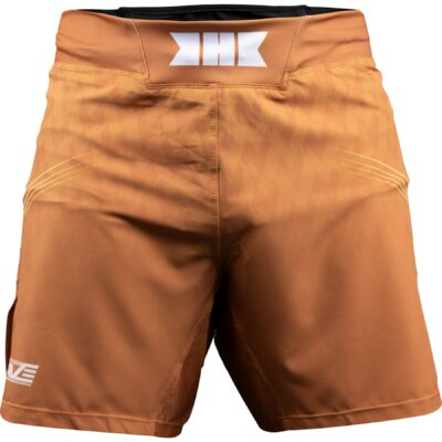TOP TEN MMA-Shorts - BRAVE Fight Night - Braun