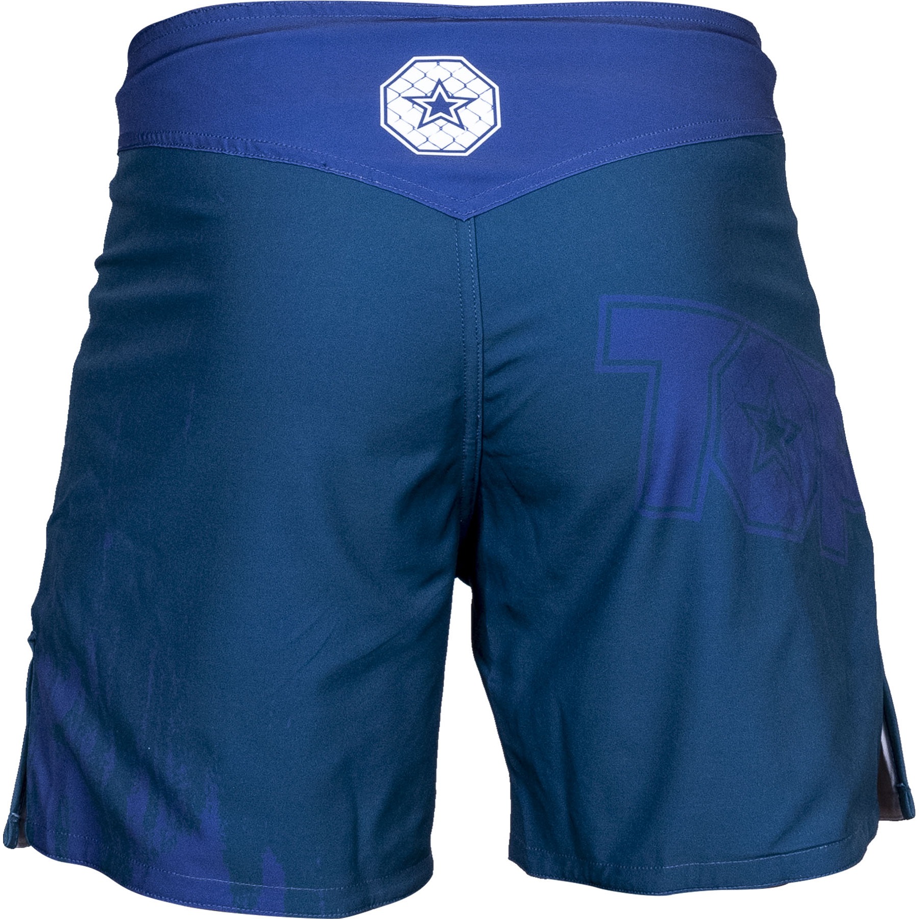 TOP TEN MMA-Shorts - Power Ink - Blau TOP TEN MMA-Shorts - Power Ink - Blau