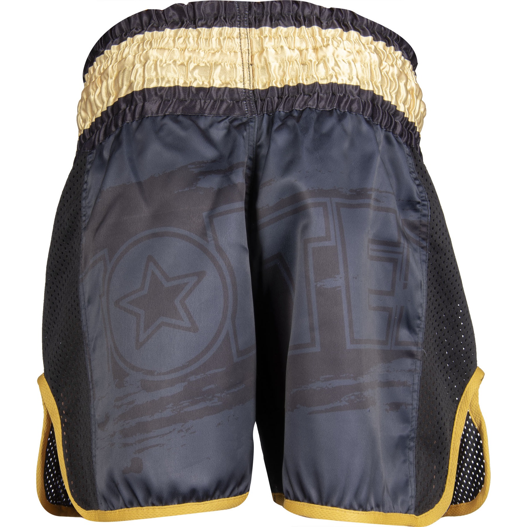 TOP TEN Kickbox-Shorts - Power Ink - Schwarz / Gold TOP TEN Kickbox-Shorts - Power Ink - Schwarz / Gold