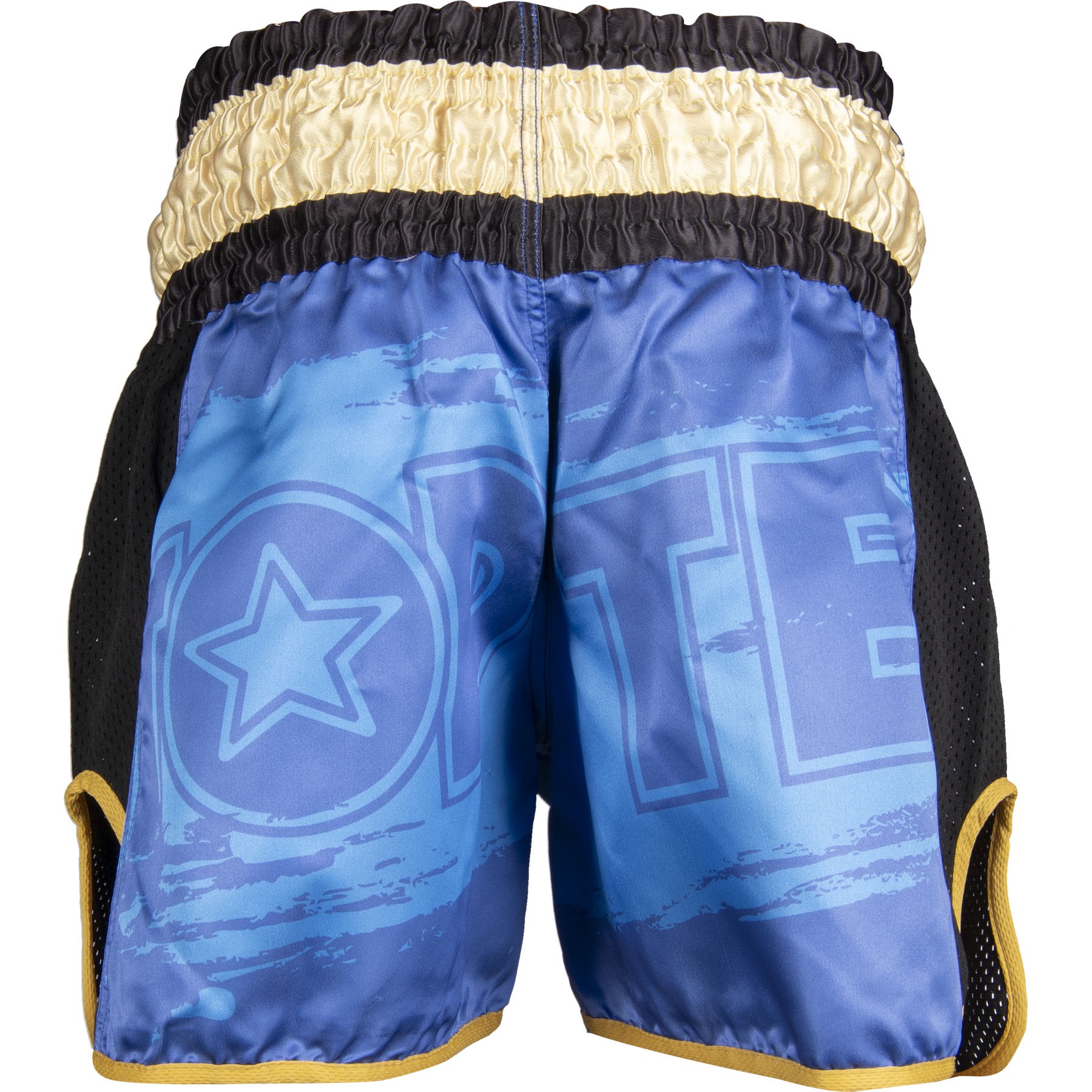 TOP TEN Kickbox-Shorts - Power Ink - Blau / Gold TOP TEN Kickbox-Shorts - Power Ink - Blau / Gold