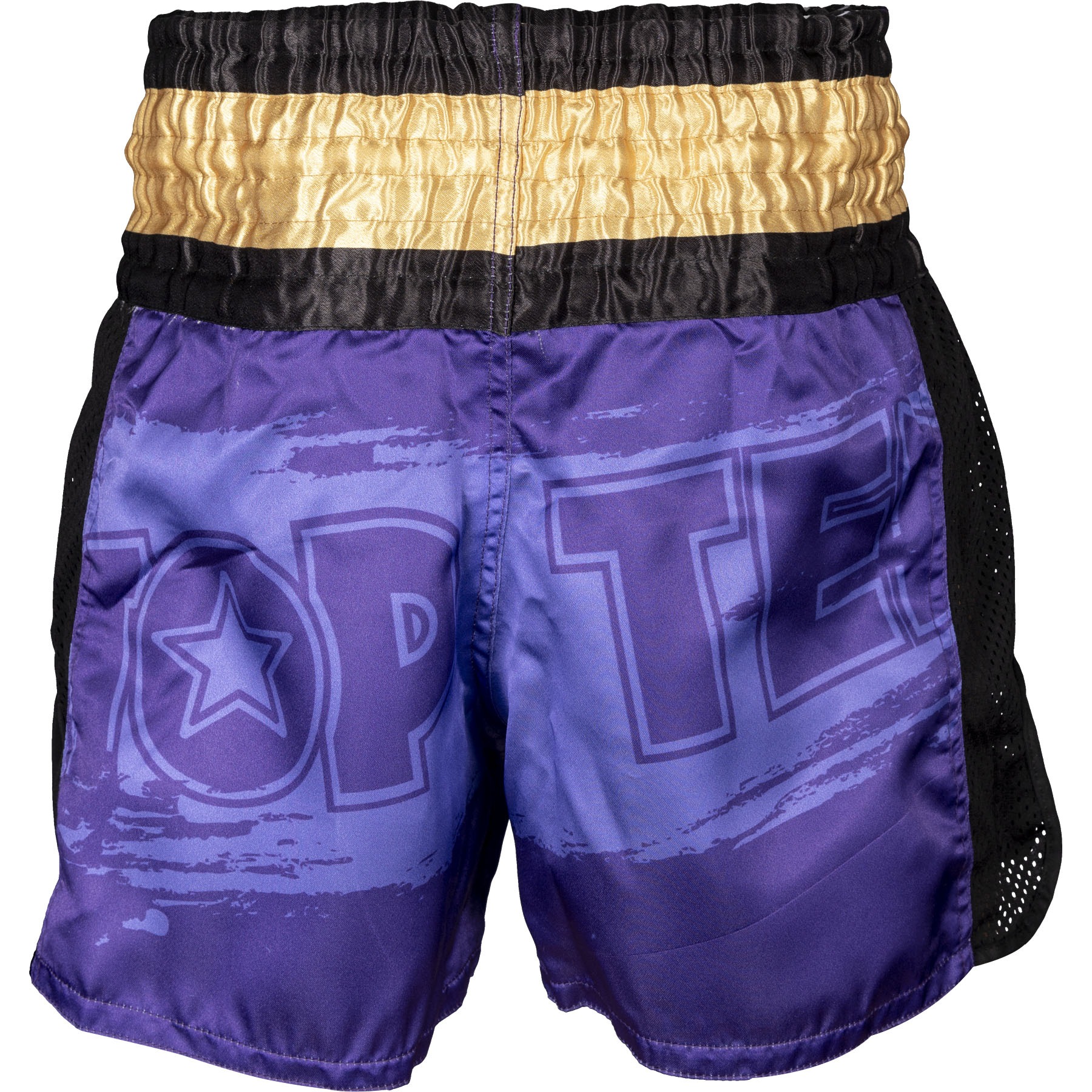 TOP TEN Kickbox-Shorts - Power Ink - Paars / Gold TOP TEN Kickbox-Shorts - Power Ink - Paars / Gold