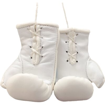 TOP TEN Point Fighting Handschuhe - WAKO - Weiß